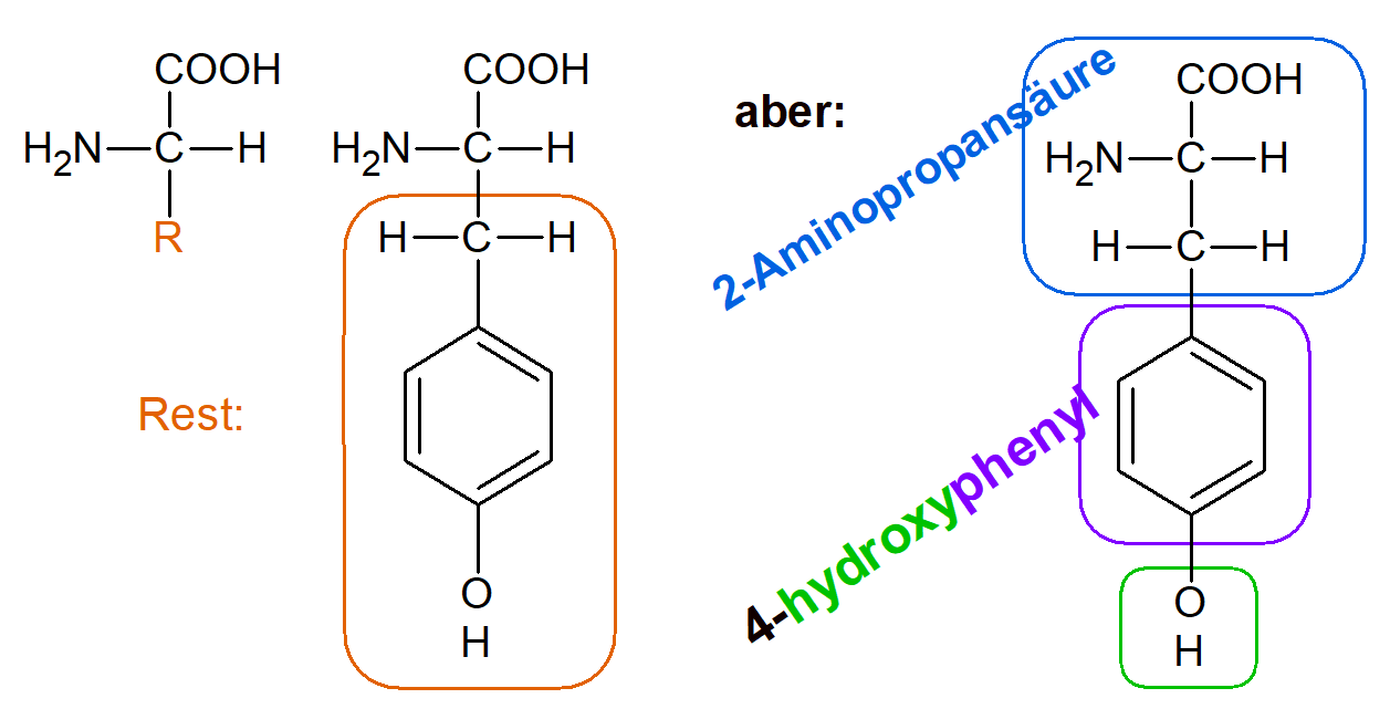 Nomenklatur Blog zu Themen der Naturwissenschaften
